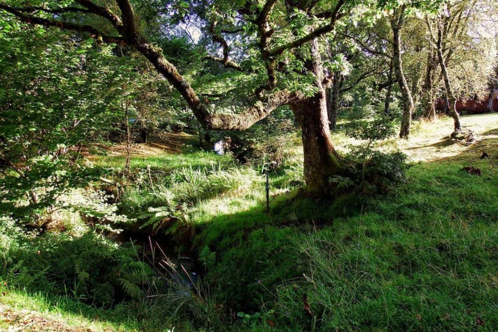 Fern Lodge Dalavich Dış mekan fotoğraf