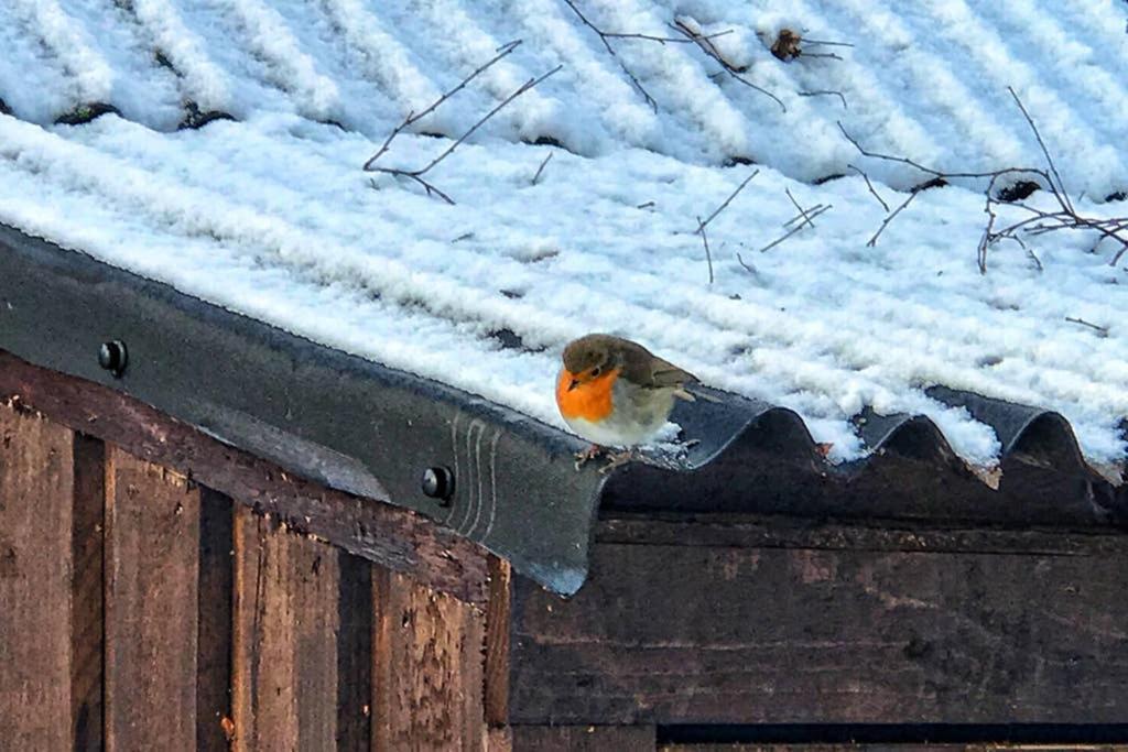 Fern Lodge Dalavich Dış mekan fotoğraf