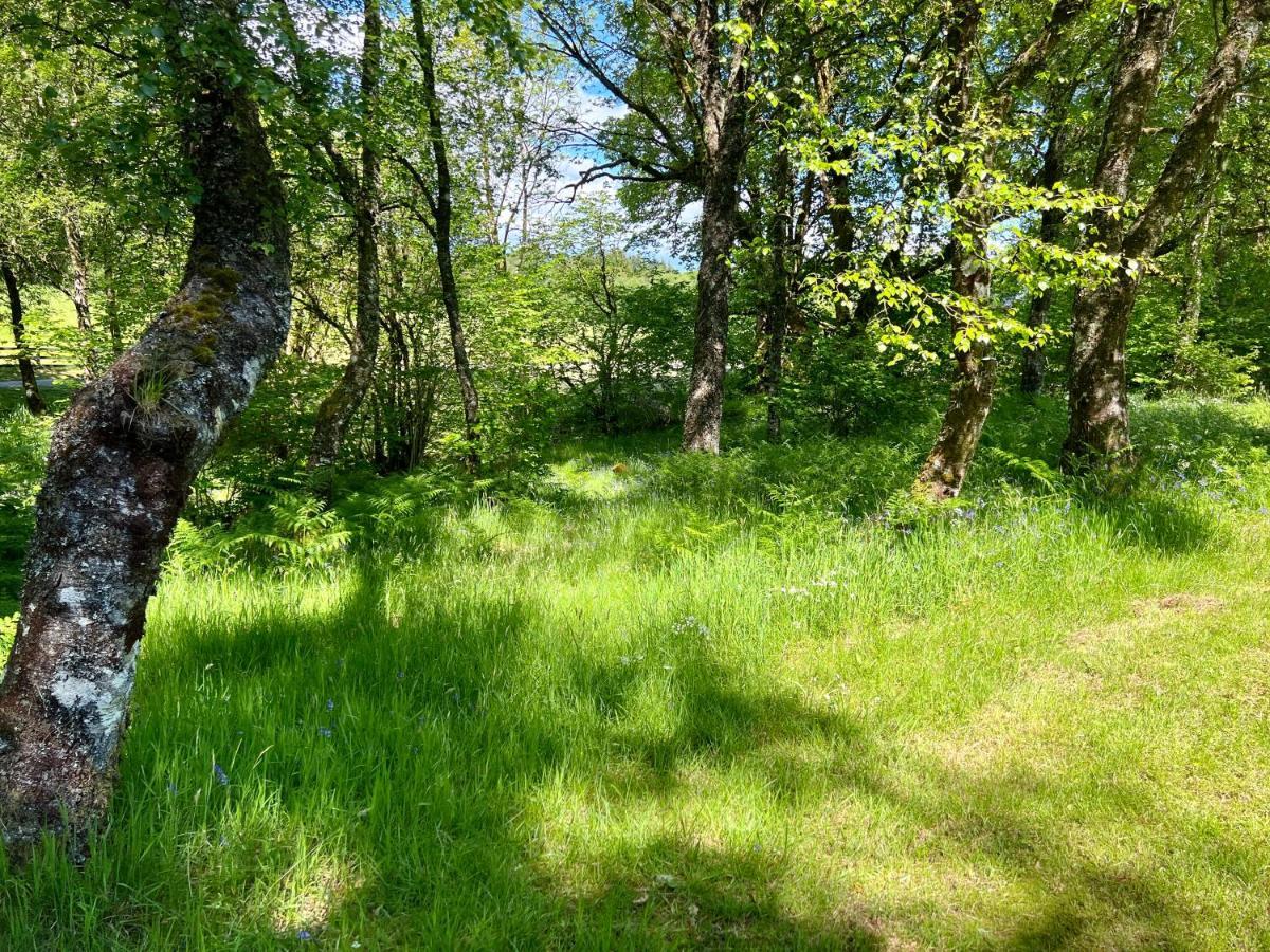 Fern Lodge Dalavich Dış mekan fotoğraf